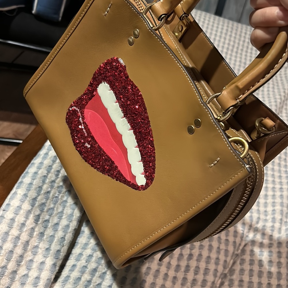Coach X Tom Wesselmann Rogue 25